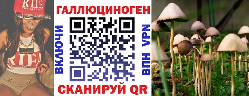 Купить  Геленджик  Псилоцибиновые грибы GOLDEN TEACHER 