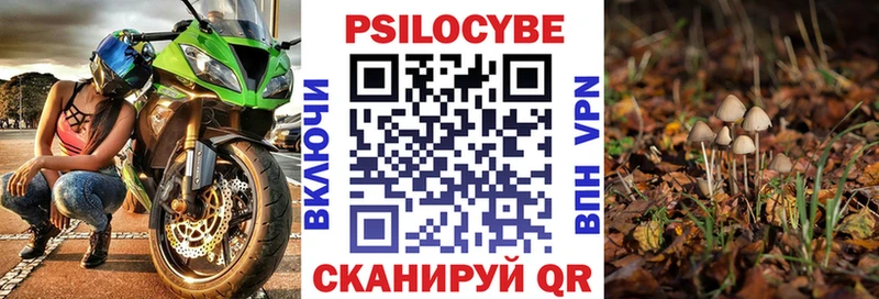 Галлюциногенные грибы GOLDEN TEACHER Геленджик